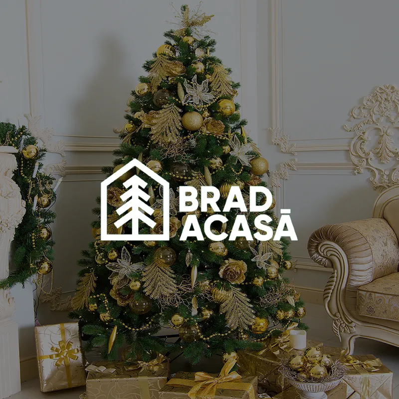 Интернет-магазин искусственных елок и новогоднего декора Brad-acasa