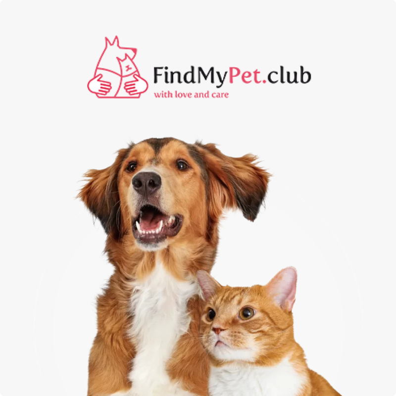 Website for a company Parking page for the service about household pets
