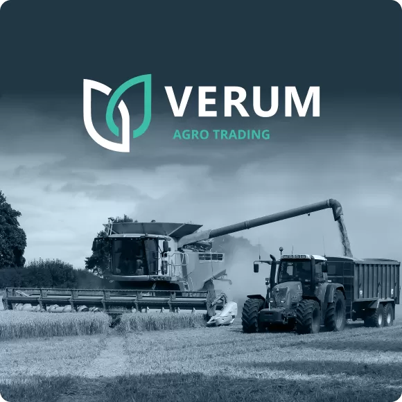 Website for Verum Group Company